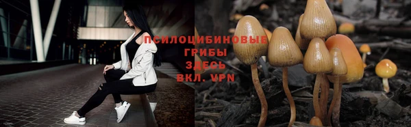 MDMA Медвежьегорск
