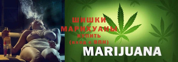 ПСИЛОЦИБИНОВЫЕ ГРИБЫ Медногорск