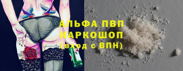 ПСИЛОЦИБИНОВЫЕ ГРИБЫ Медногорск