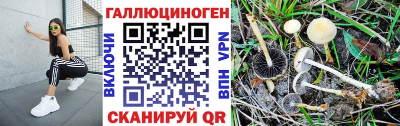 Галлюциногенные грибы прущие грибы  Ялуторовск 